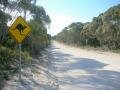 A road on Kangaroo Island, Kangaroo Island, Αυστραλία, Ωκεανία