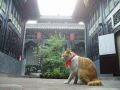 In our hotel , Pingyao, Kiina, Aasia