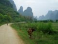 Dans les environs de Yangshuo