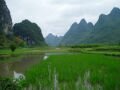 In the surroundings of Yangshuo: fabulous montains as sugar loafs! 