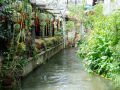 One of the many channels and way pedestrian of Lijiang