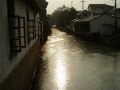 When sleeping sun and rain do good housework… 