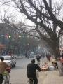 dans la ville de Zhengding