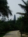 Parc de Qingxiu Shan Fengjingqu