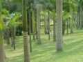 Parc de Qingxiu Shan Fengjingqu