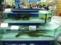 Poissons