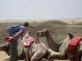 Slika 1543: The desert close to Baotou 