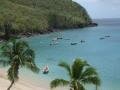 Anse Dufour : many fishs