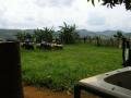 Quad, Mbabane, Swaziland, Afrika Quad, Mbabane, Swaziland, Afrika