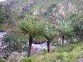 River and mountain, Mbabane, Swaziland, Afrika River and mountain, Mbabane, Swaziland, Afrika