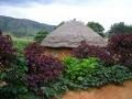 写真 2989: House 写真 2989: House